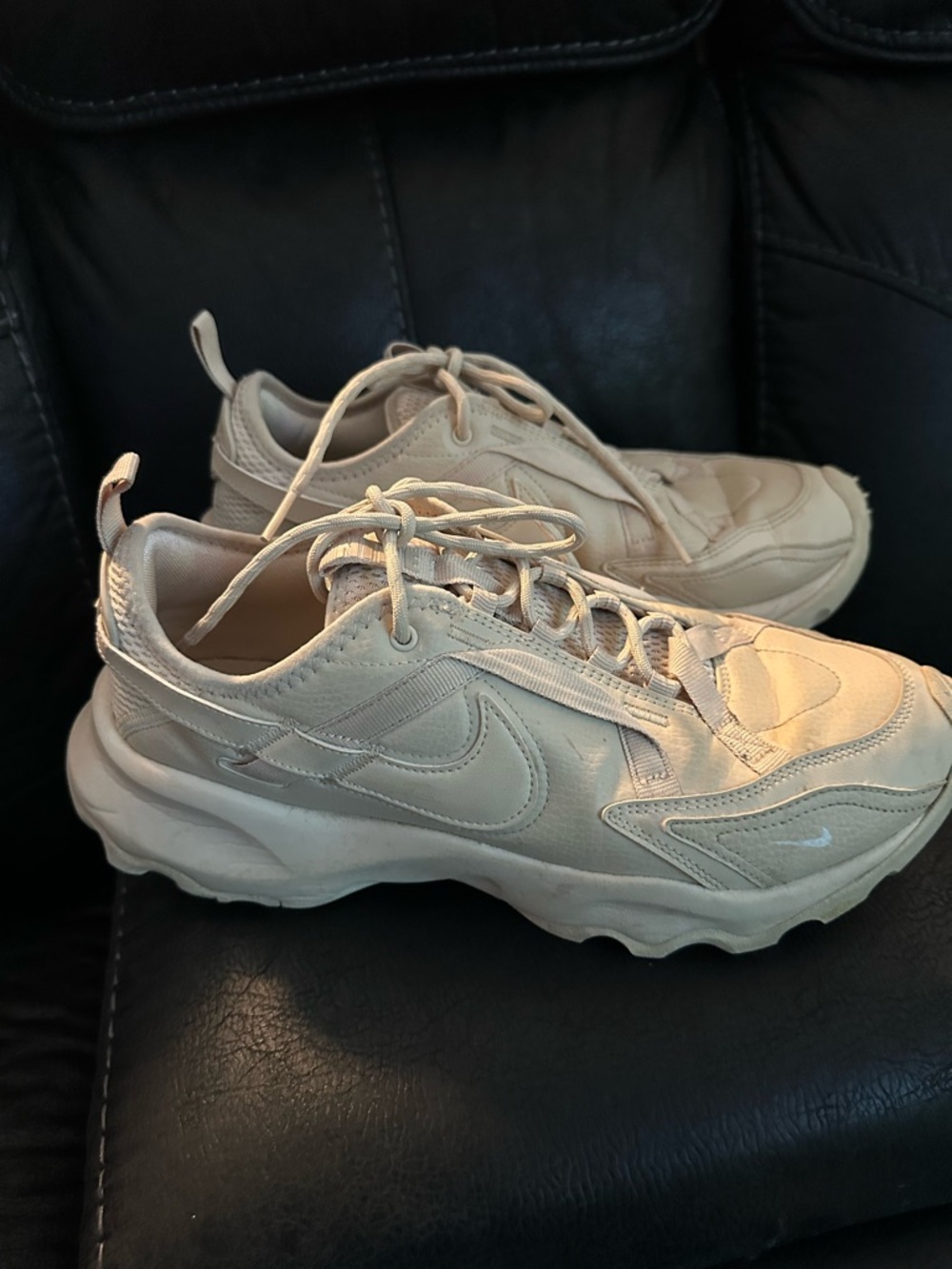 Nike Neutral Beige Low-Top Sneakers